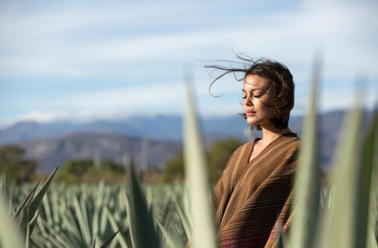 Stress and Mindfulness